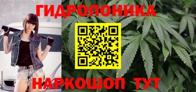 mdpv Можга