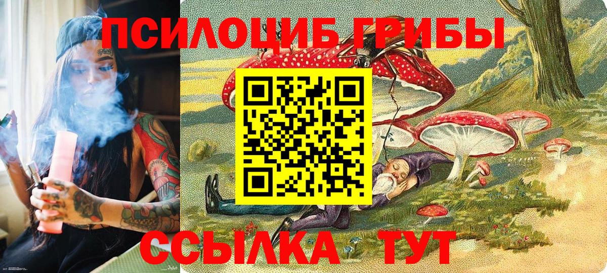 Галлюциногенные грибы GOLDEN TEACHER Ростов-на-Дону