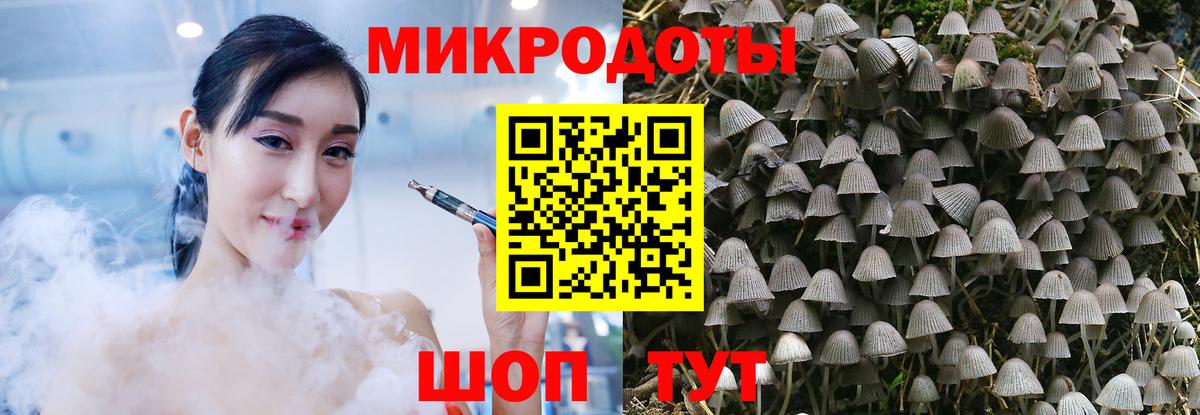 Галлюциногенные грибы Psilocybe  Вход с VPN  Ростов-на-Дону  Псилоцибиновые грибы MAGIC MUSHROOMS 